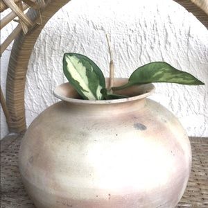 Clay vase